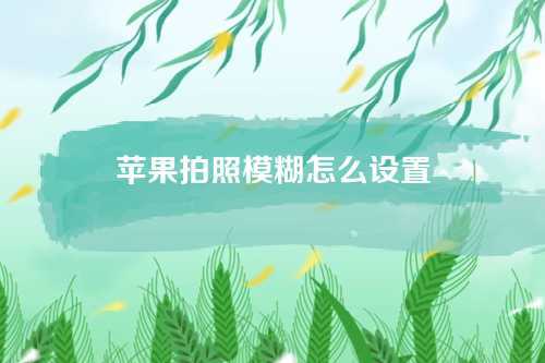 苹果拍照模糊怎么设置