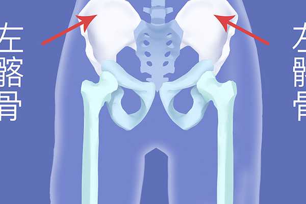 骶骨是哪个部位