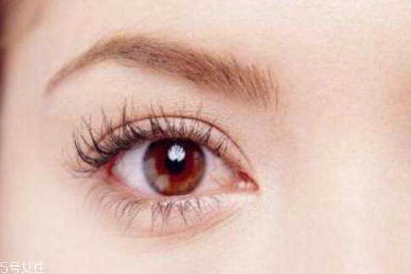 眼霜为什么起脂肪粒