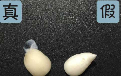 雅诗兰黛红石榴洗面奶真假怎么辨别 雅诗兰黛红石榴洗面奶真假对比图