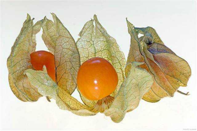 这5个原因可能会“加速”皮肤老化，希望女人抓紧改掉 