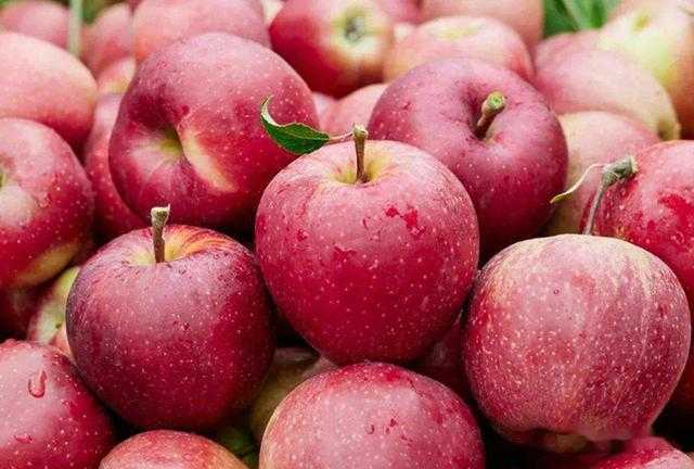 苹果什么时候吃最好 苹果什么时候吃最好