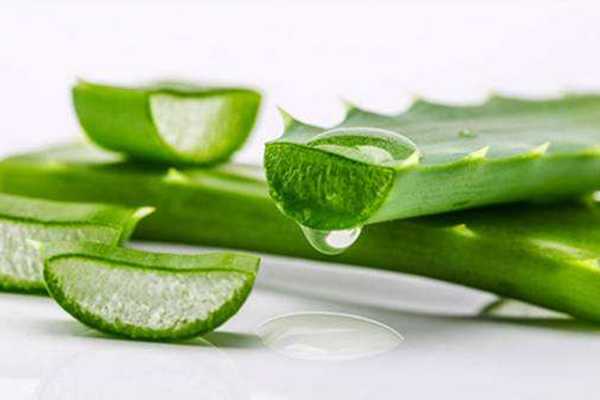 芦荟胶去脂肪粒吗?去脂肪粒的方法有哪些 芦荟胶去脂肪粒吗?去脂肪粒的方法有哪些