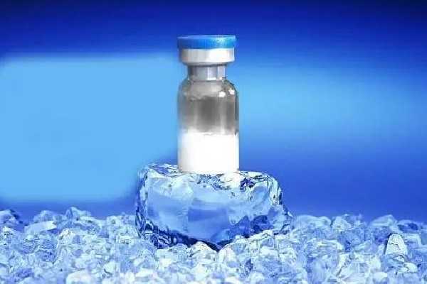 冻干粉和精华液的使用顺序