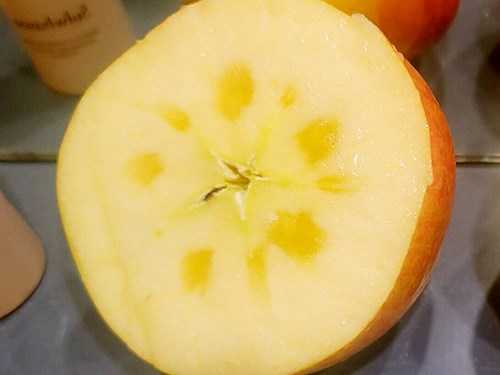 糖心苹果好还是普通苹果好?糖心苹果有什么优势 糖心苹果好还是普通苹果好?糖心苹果有什么优势