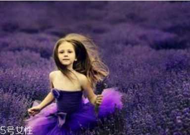 玫瑰精油能天天用吗?玫瑰精油最佳使用频率 玫瑰精油能天天用吗?玫瑰精油最佳使用频率