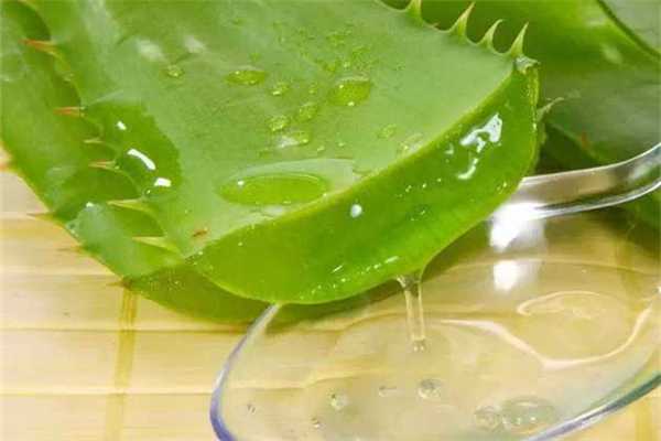芦荟胶的功效和作用