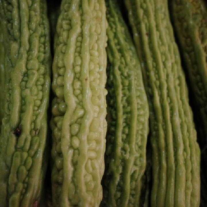 苦瓜汁能够去痘吗