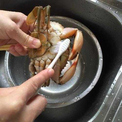 大闸蟹怎么洗才干净 大闸蟹怎么洗才干净