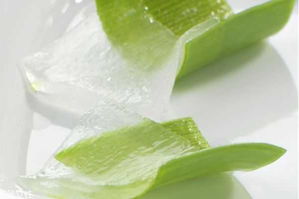 芦荟擦脸多久后要洗掉