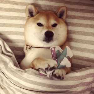 面膜里的精华液可以留着下次用吗 面膜里的精华液可以留着下次用吗