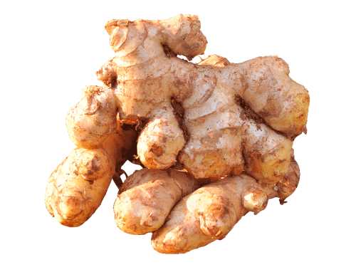 黄姜粉的功效与作用 黄姜粉怎么制作 黄姜粉的功效与作用 黄姜粉怎么制作