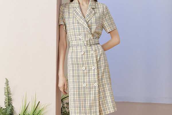 范思蓝恩是什么品牌 范思蓝恩是什么品牌