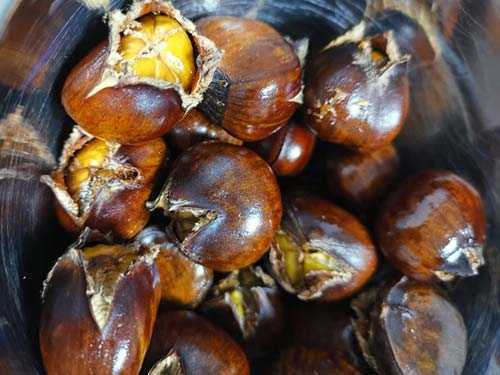 板栗怎么储藏效果最好?板栗可以直接晒干吗 板栗怎么储藏效果最好?板栗可以直接晒干吗