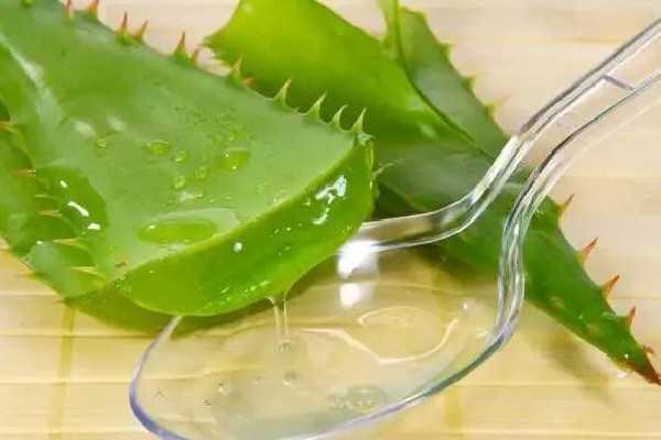 新鲜芦荟擦脸会越来越黑吗 新鲜芦荟擦脸会越来越黑吗