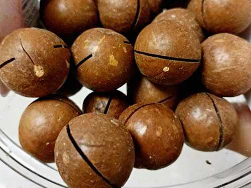 夏威夷果的作用与功效 夏威夷果的果壳可以干什么 夏威夷果的作用与功效 夏威夷果的果壳可以干什么