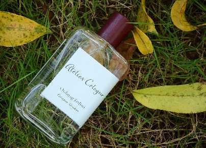 人用香水可以喷车上吗 人用香水可以喷车上吗