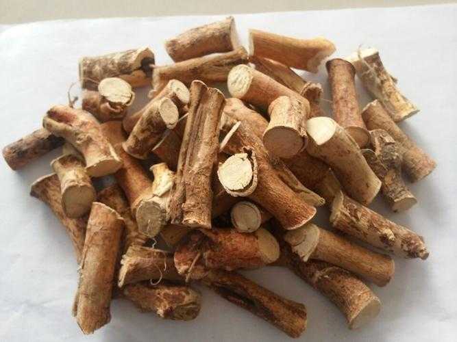 五指毛桃和什么煲汤最好 五指毛桃和什么煲汤最好