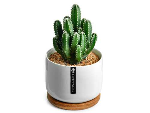 哪些植物可以用来防辐射 哪些植物可以用来防辐射