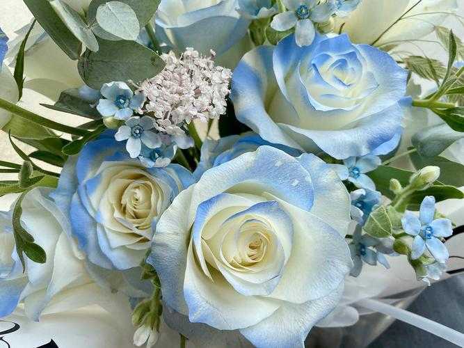 碎冰蓝玫瑰花语