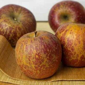 丑苹果怎么挑选最甜