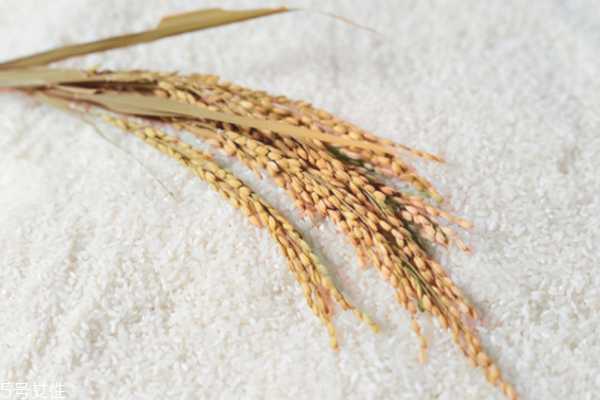 淘米水洗脸后还要用清水洗吗 淘米水的美容功效