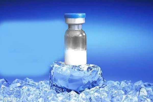 先用冻干粉还是先用水 先用冻干粉还是先用水