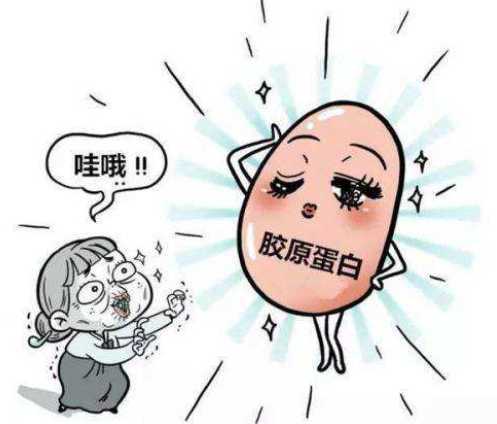 胶原蛋白敷脸能吸收吗 胶原蛋白敷脸能吸收吗