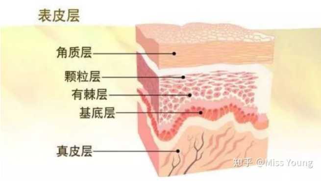 面膜敷多久效果最好