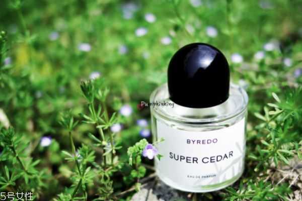 雪松味香水有哪些？雪松味香水推荐