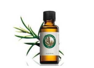 孕妇可以用茶树精油吗