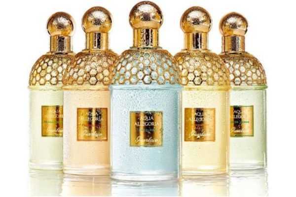 娇兰葡萄柚香水是什么味道?娇兰花草水语淡香水怎么样 娇兰葡萄柚香水是什么味道?娇兰花草水语淡香水怎么样