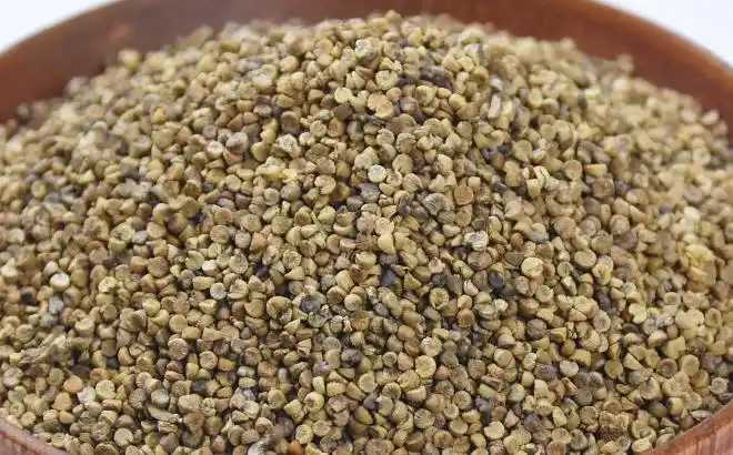 新葵果是什么药?新葵果功效与作用 新葵果是什么药?新葵果功效与作用