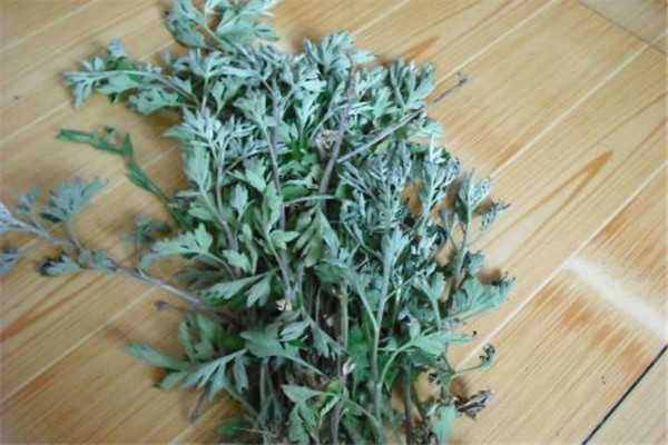 香水有驱蚊的作用吗 香水有驱蚊的作用吗