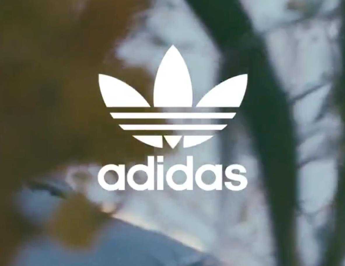 阿迪达斯和三叶草有什么区别?三叶草和阿迪哪个档次高 阿迪达斯和三叶草有什么区别?三叶草和阿迪哪个档次高