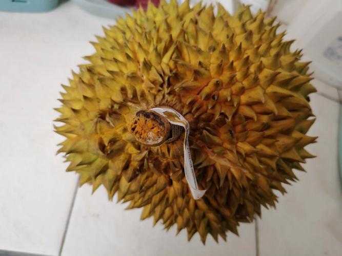 榴莲外壳发霉了怎么办