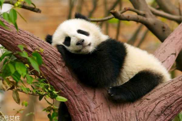 黑眼圈很重是什么原因 原因可不止熬夜这一个