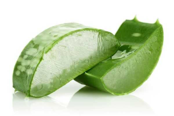 简单自制芦荟胶方法 简单自制芦荟胶方法