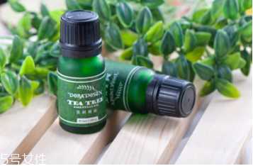 孕妇可以用茶树精油吗