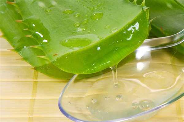 芦荟胶淡化疤痕吗?芦荟胶有什么用途 芦荟胶淡化疤痕吗?芦荟胶有什么用途