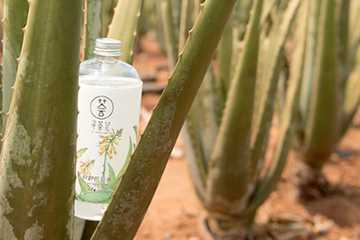 寻荟记芦荟水怎么样？寻荟记芦荟水使用心得