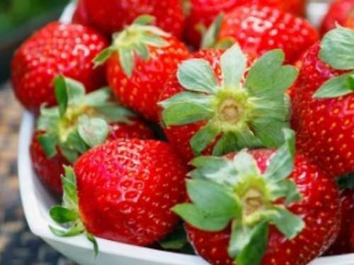 快速减肥方法小妙招 这四招效果最明显 快速减肥方法小妙招 这四招效果最明显