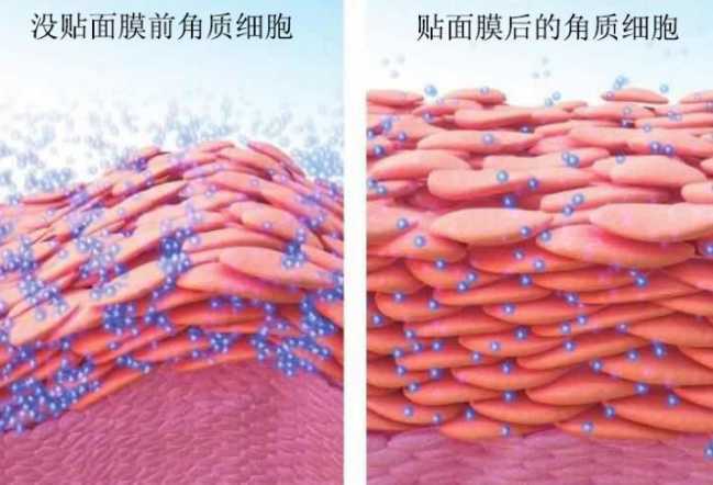 面膜敷多久效果最好