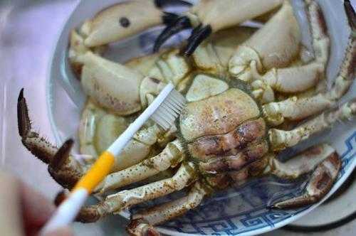 大闸蟹怎么才能洗干净 大闸蟹怎么才能洗干净