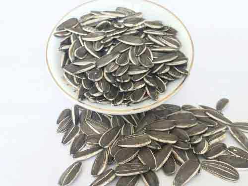 孕妇可以吃葵花籽吗?葵花籽的功效和作用 孕妇可以吃葵花籽吗?葵花籽的功效和作用