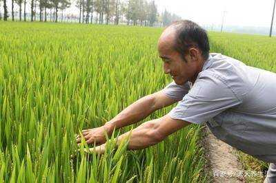 为何有些男性腿毛旺盛，有些却很稀少？或与5因素有关，来看看吧 