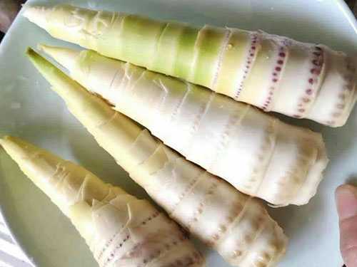 竹笋有哪些禁忌人群?六种人不宜吃竹笋 竹笋有哪些禁忌人群?六种人不宜吃竹笋