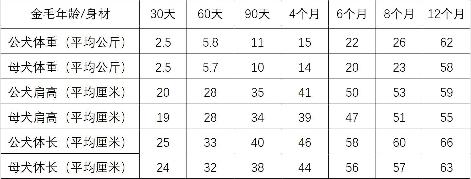 成年金毛体重多少正常 成年金毛的正常体重