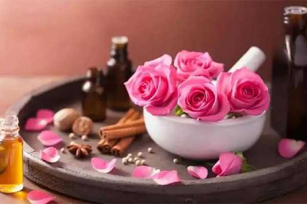 玫瑰精油可以用来刮痧吗 玫瑰精油可以用芦荟胶稀释吗