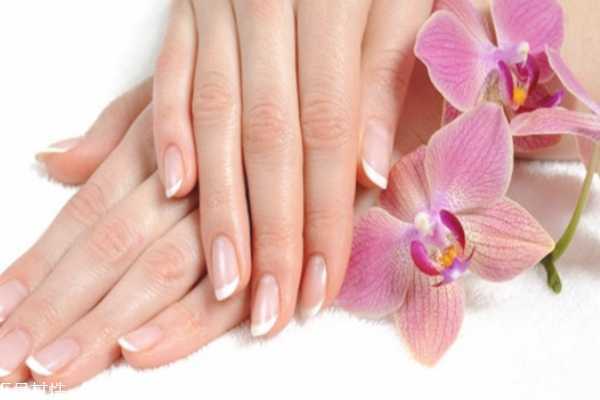 资生堂护手霜能擦脸吗